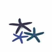 biorb starfish blue (1)